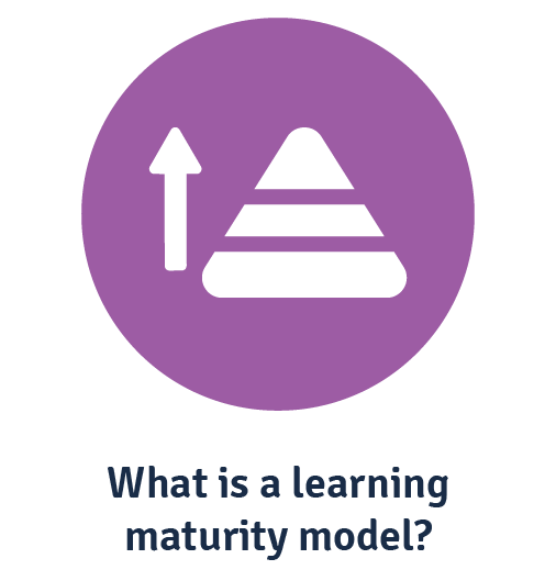 what is a learning maturity model