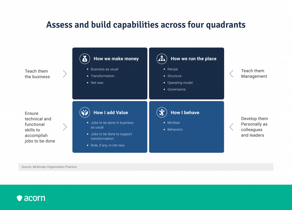 How to assess capabilities
