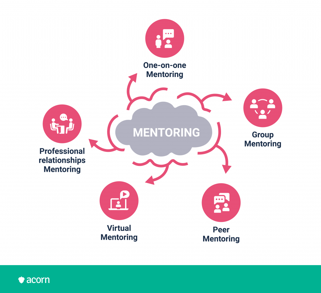 Infographic of the five types of mentoring