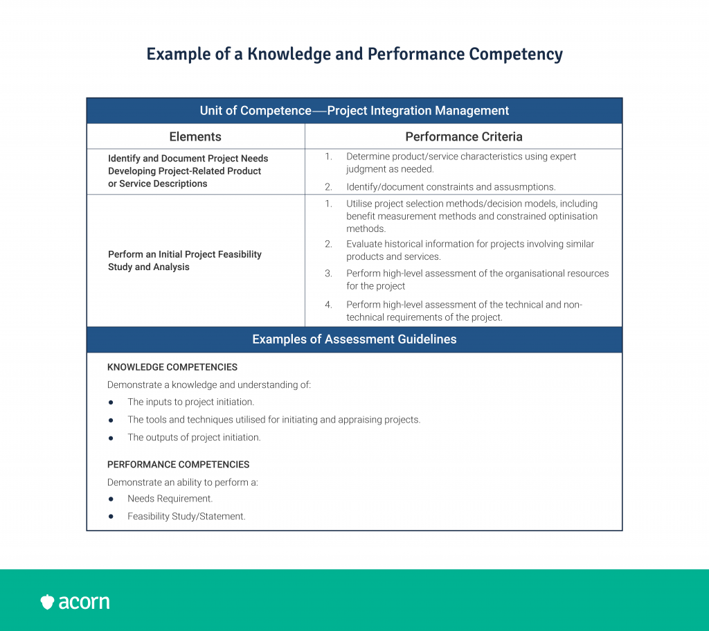 PMI standard knowledge and performance competency example