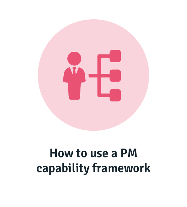How to use a project management capability framework