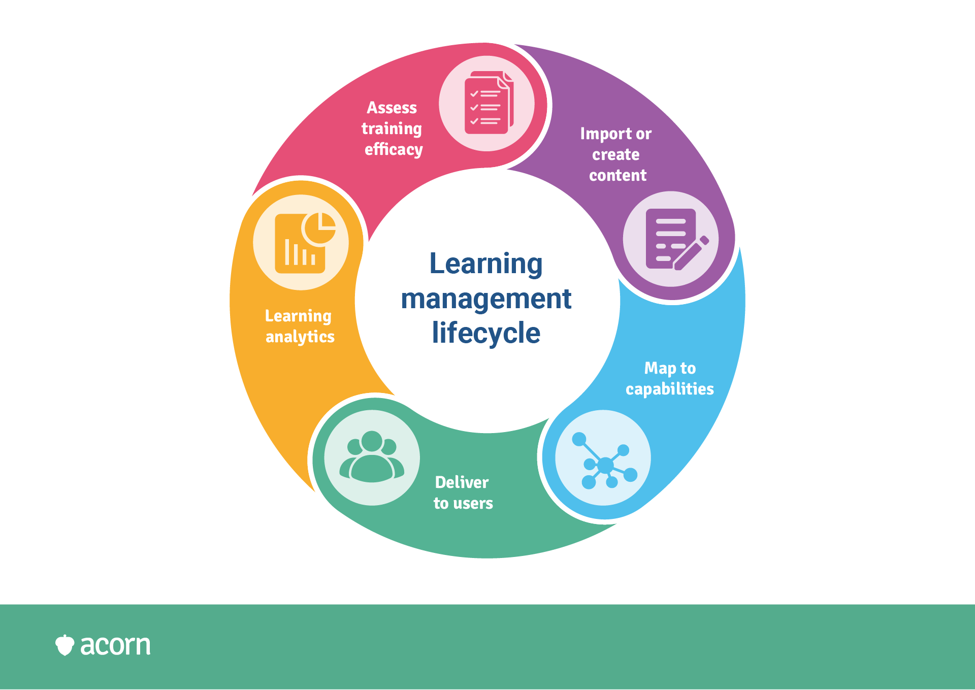 cyclical infographic depicting the learning management lifecycle in an LMS