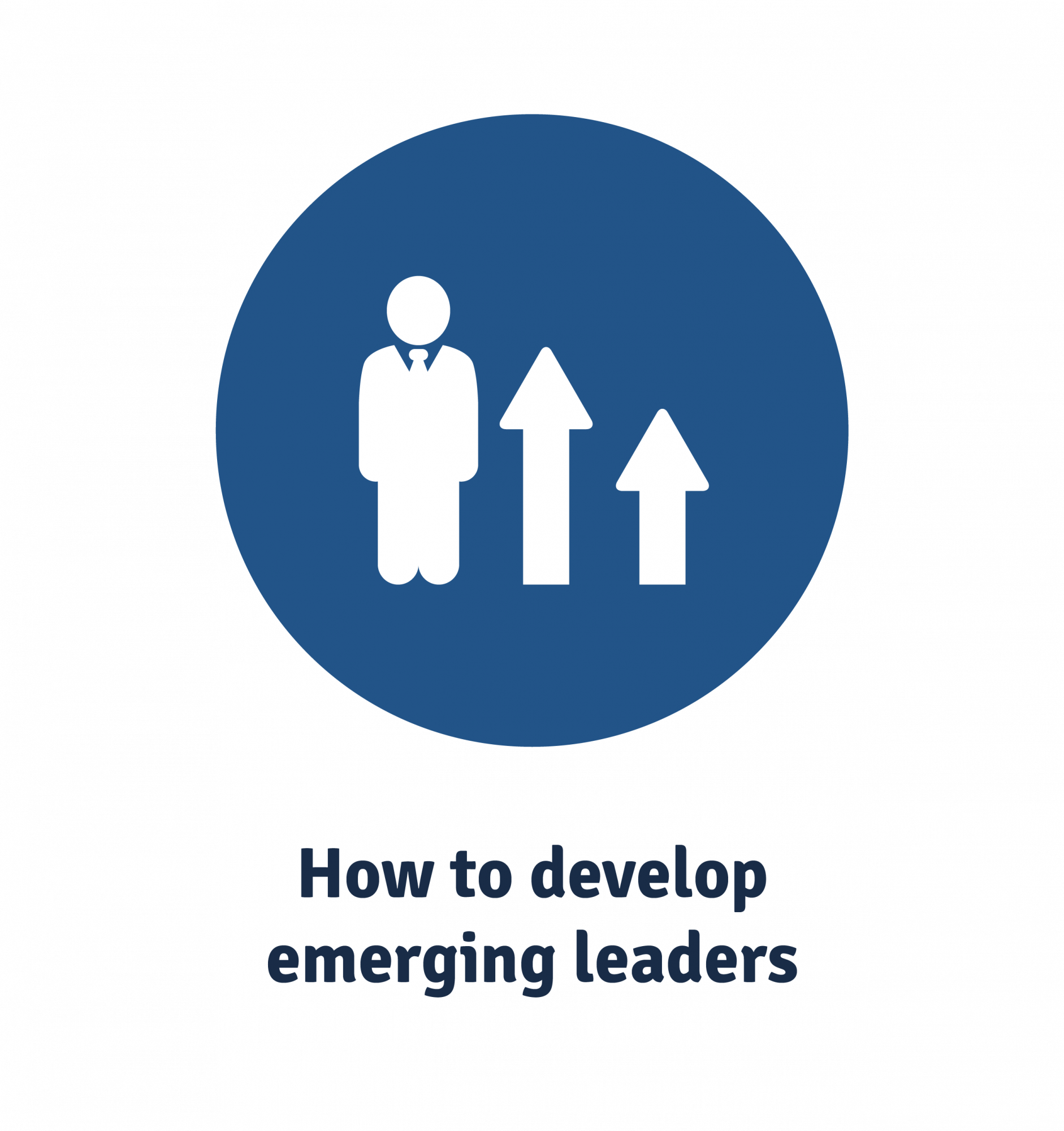 how to develop emerging leaders