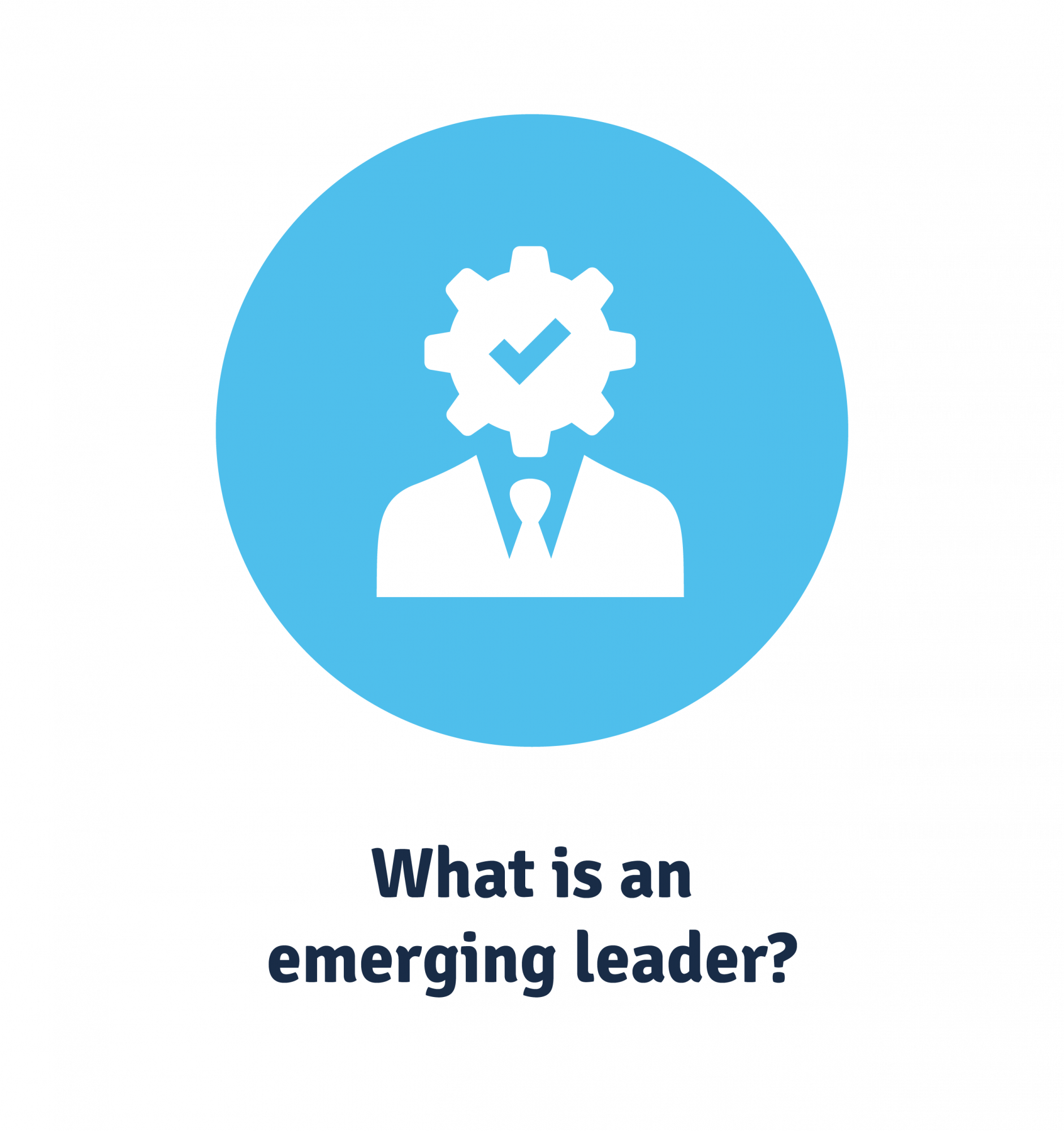 what is an emerging leader
