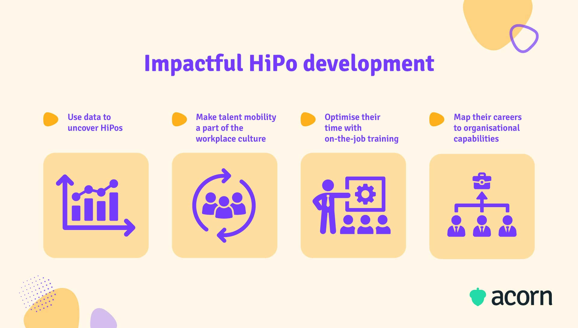 Infographic showing 4 steps for a HiPo development program