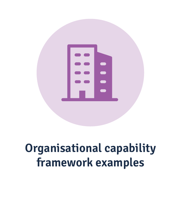 organisational capability framework examples
