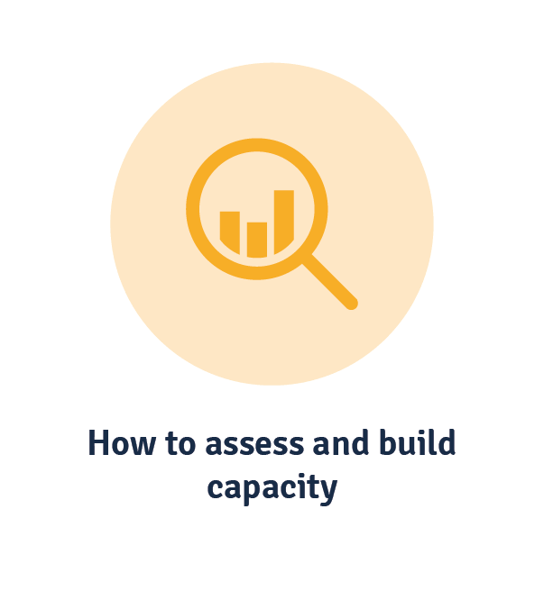 how to assess and build capcacity