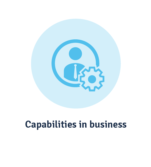 capabilities in business