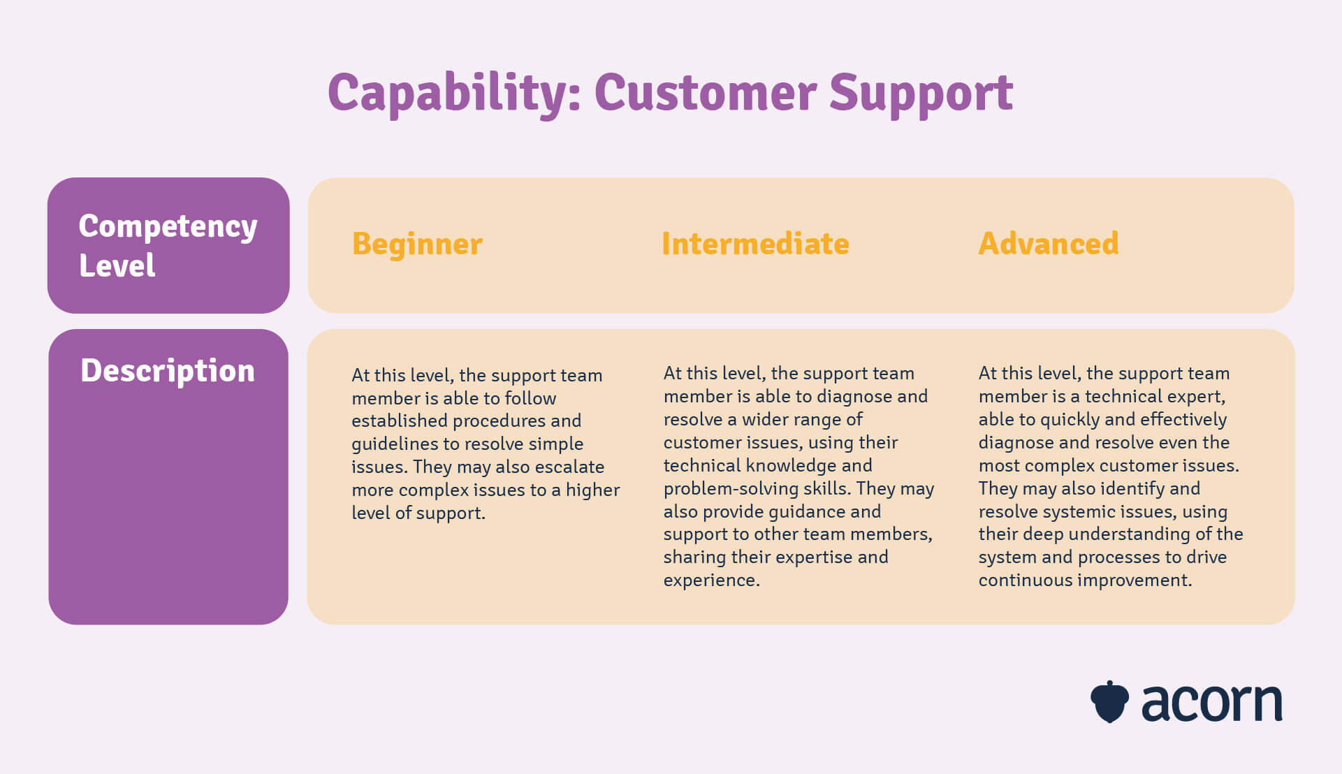 table showing the three competency levels for the capability of customer support